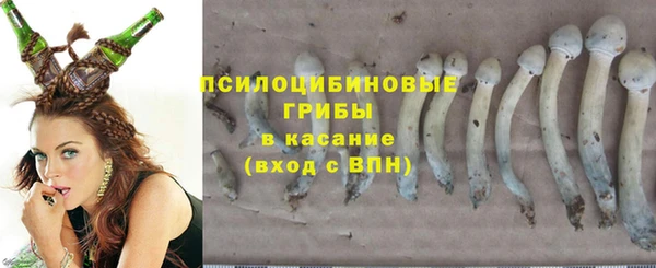 гидра Пролетарск