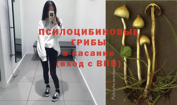 jwh Алзамай