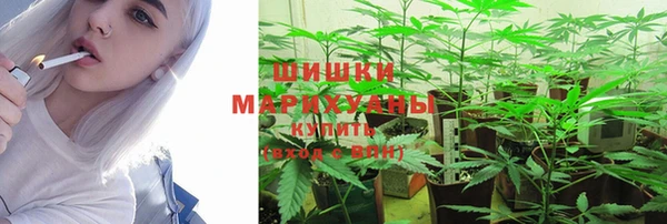 ПСИЛОЦИБИНОВЫЕ ГРИБЫ Приозерск