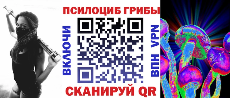 Псилоцибиновые грибы Psilocybe  Медынь 